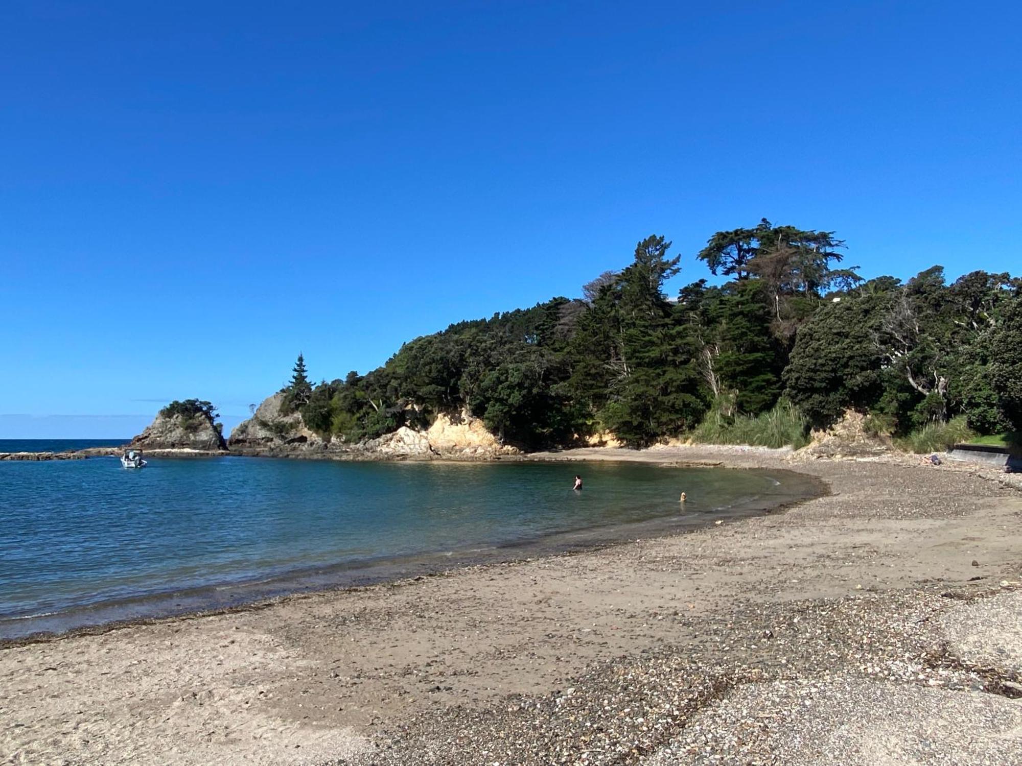 Kereru Cabin - Spectacular Seaviews, Rustic, Glamping Eco Adventure Palm Beach Exteriér fotografie