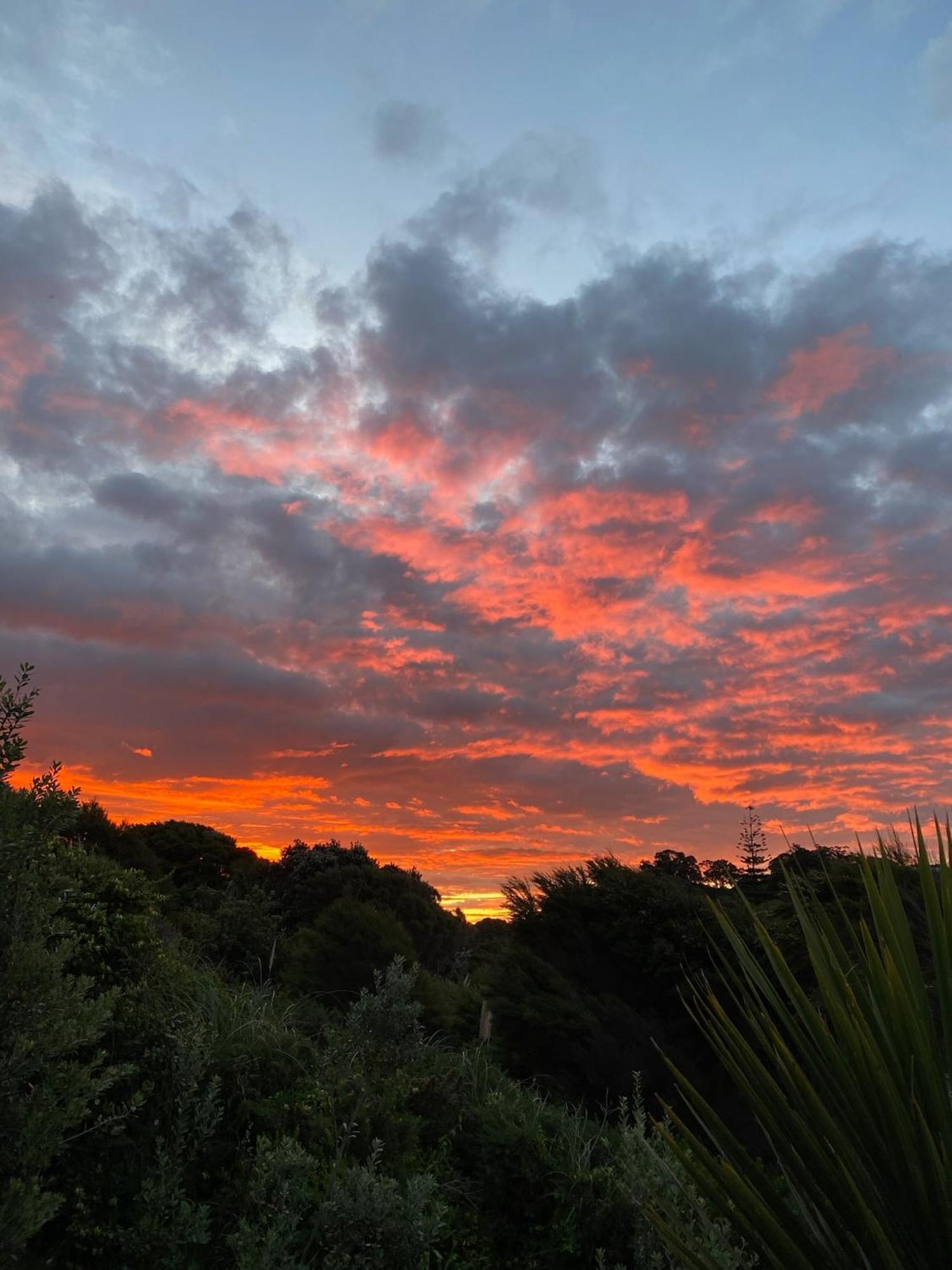 Kereru Cabin - Spectacular Seaviews, Rustic, Glamping Eco Adventure Palm Beach Exteriér fotografie