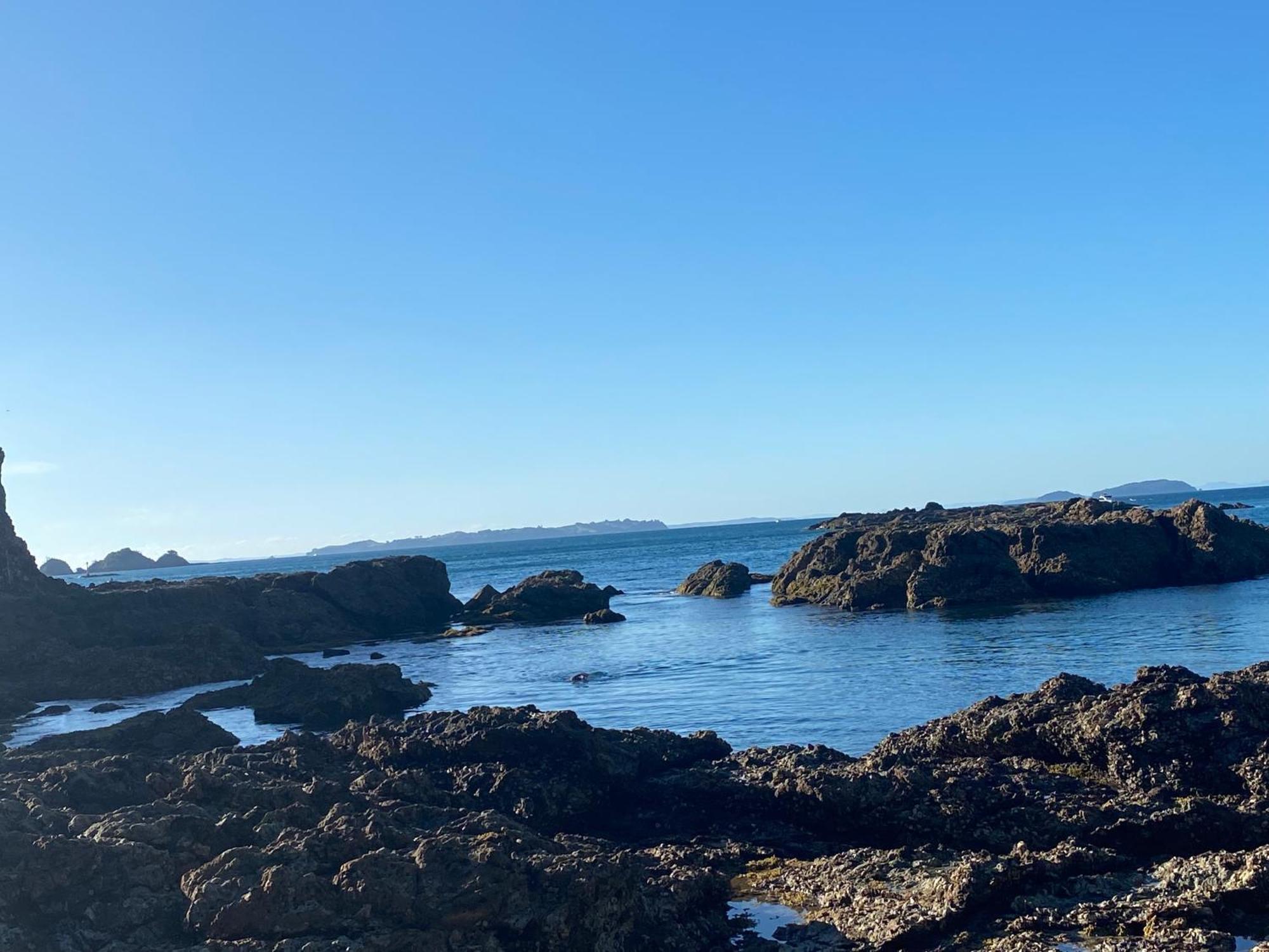 Kereru Cabin - Spectacular Seaviews, Rustic, Glamping Eco Adventure Palm Beach Exteriér fotografie