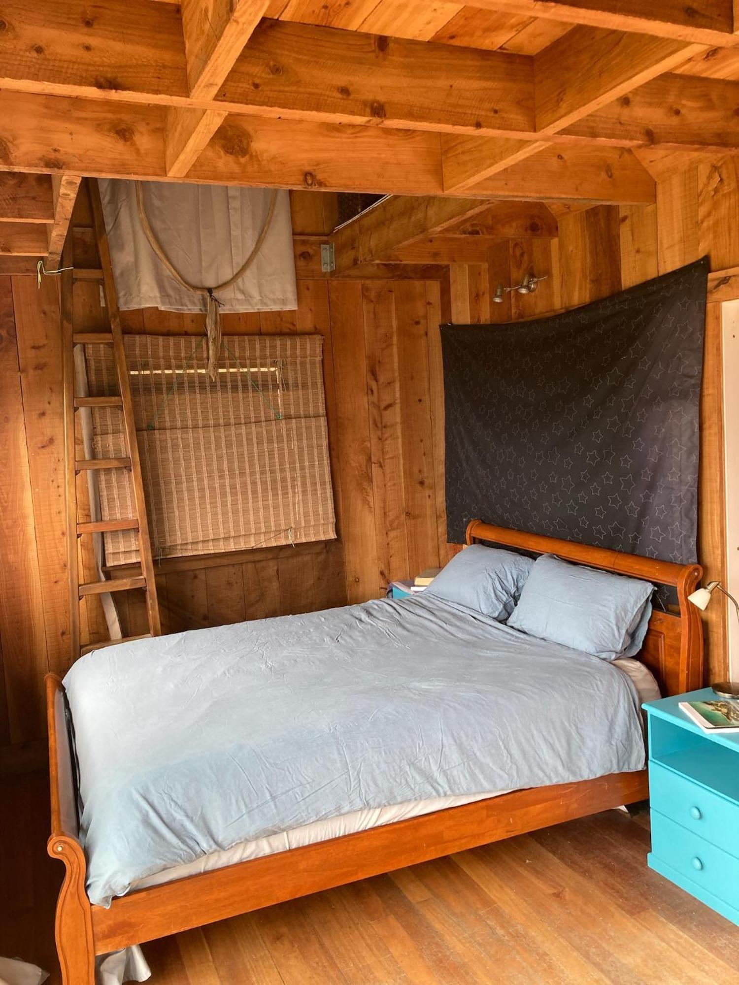 Kereru Cabin - Spectacular Seaviews, Rustic, Glamping Eco Adventure Palm Beach Exteriér fotografie